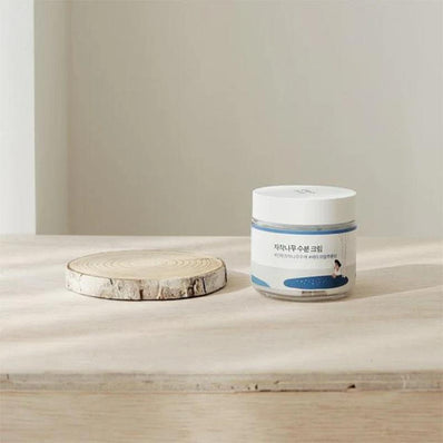 Round Lab - Birch Juice Moisturizing Cream
