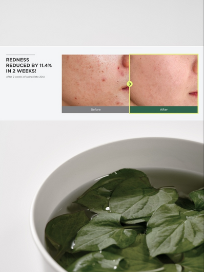 Anua - Heartleaf 77% Soothing Toner