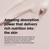 Ma:nyo - Factory Bifida Biome Concentrate Cream