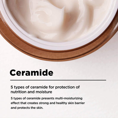 Ma:nyo - Factory Bifida Biome Concentrate Cream